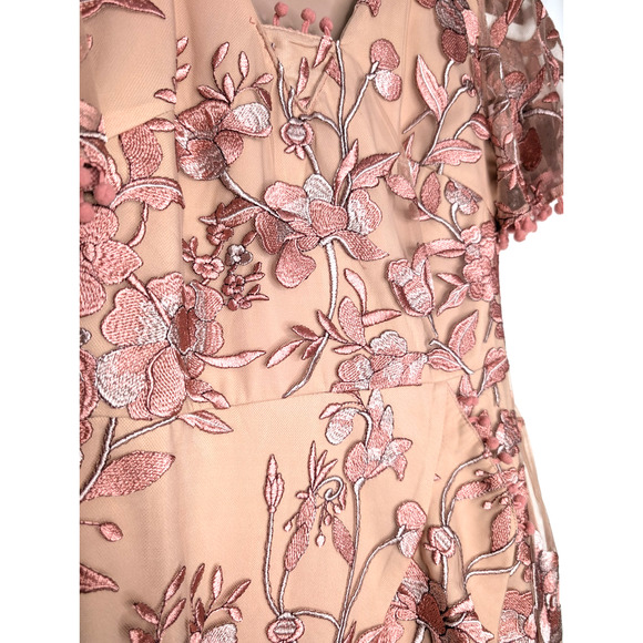 Two Sisters Pink Embroidered Floral Coquette Fairy Sheer Lace Ruffle Mini Dress - Picture 6 of 15